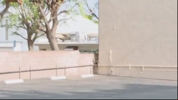 Biggest Cock In Porn